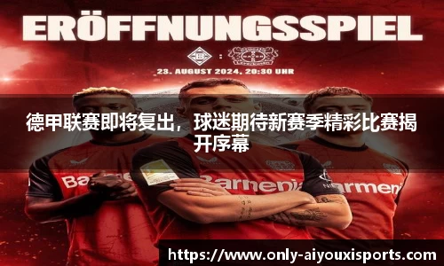 爱游戏公司