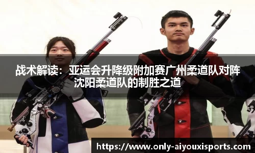 爱游戏公司