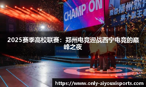 爱游戏公司